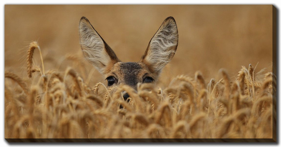 Curious Wonderer Wall Art - Brown - 20 X 40