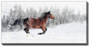 Snow Spirit Wall Art - White/Dark Brown - 10 X 20