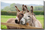 Donkeys at the Fence Wall Art - Brown - 30 X 45
