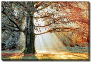 Seasons Divide Wall Art - Orange - 30 X 45