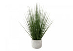 21" Grass Plant With 4" White Pot - Green