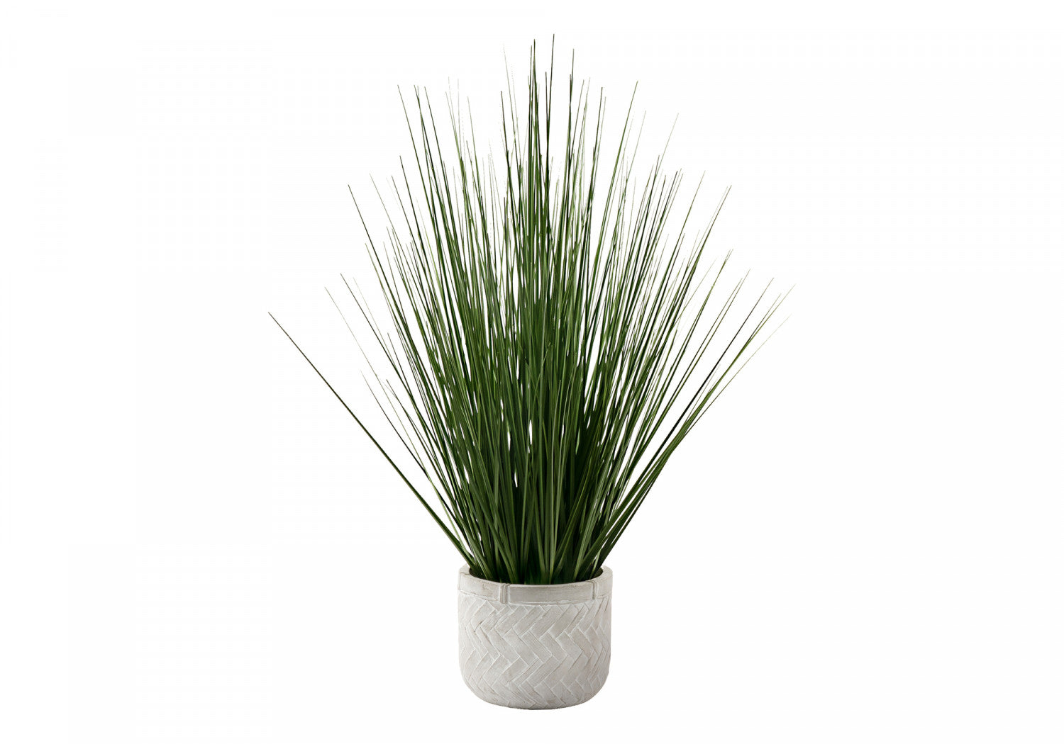 21" Grass Plant With 4" White Pot - Green