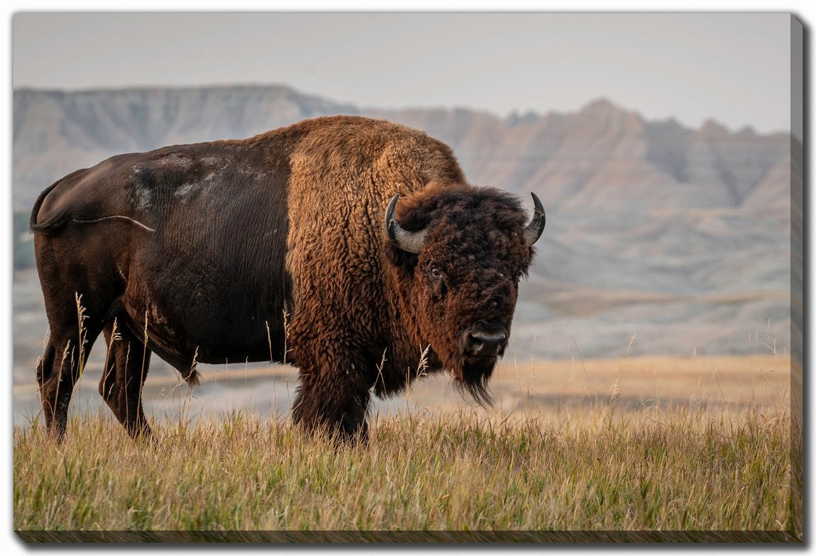 Western Strength Wall Art - Brown - 30 X 45