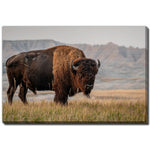 Western Strength Wall Art - Brown - 30 X 45