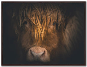 Highland Gaze Wall Art - Brown - 30 X 40