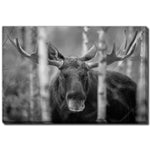 Forest Monarch Wall Art - Grey - 22 X 28