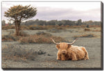 Morning in the Meadow Wall Art - Multi-Colour - 38 X 60