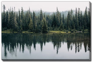 Forest Echo Wall Art - Green - 16 X 20