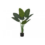 44" Bird Of Paradise Plant With 5" Black Pot - Green