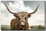 Highland Wisdom Wall Art - Brown - 30 X 45