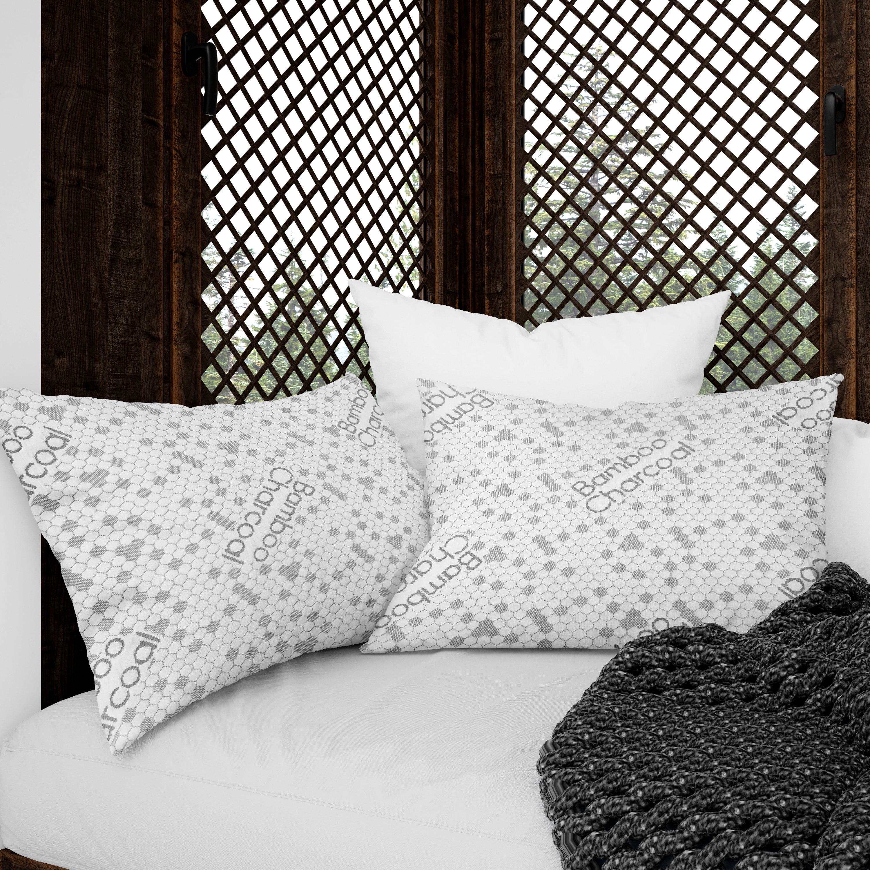 Cotton House 2 Pack Charcoal Infused Queen Pillow
