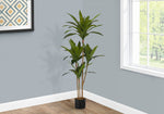 51" Dracaena Plant With 5" Black Pot - Green