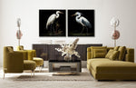 Moonlight Egret I Wall Art - Black/White - 32 X 32