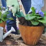 Heartholm Conical Bowl Planter - Corten