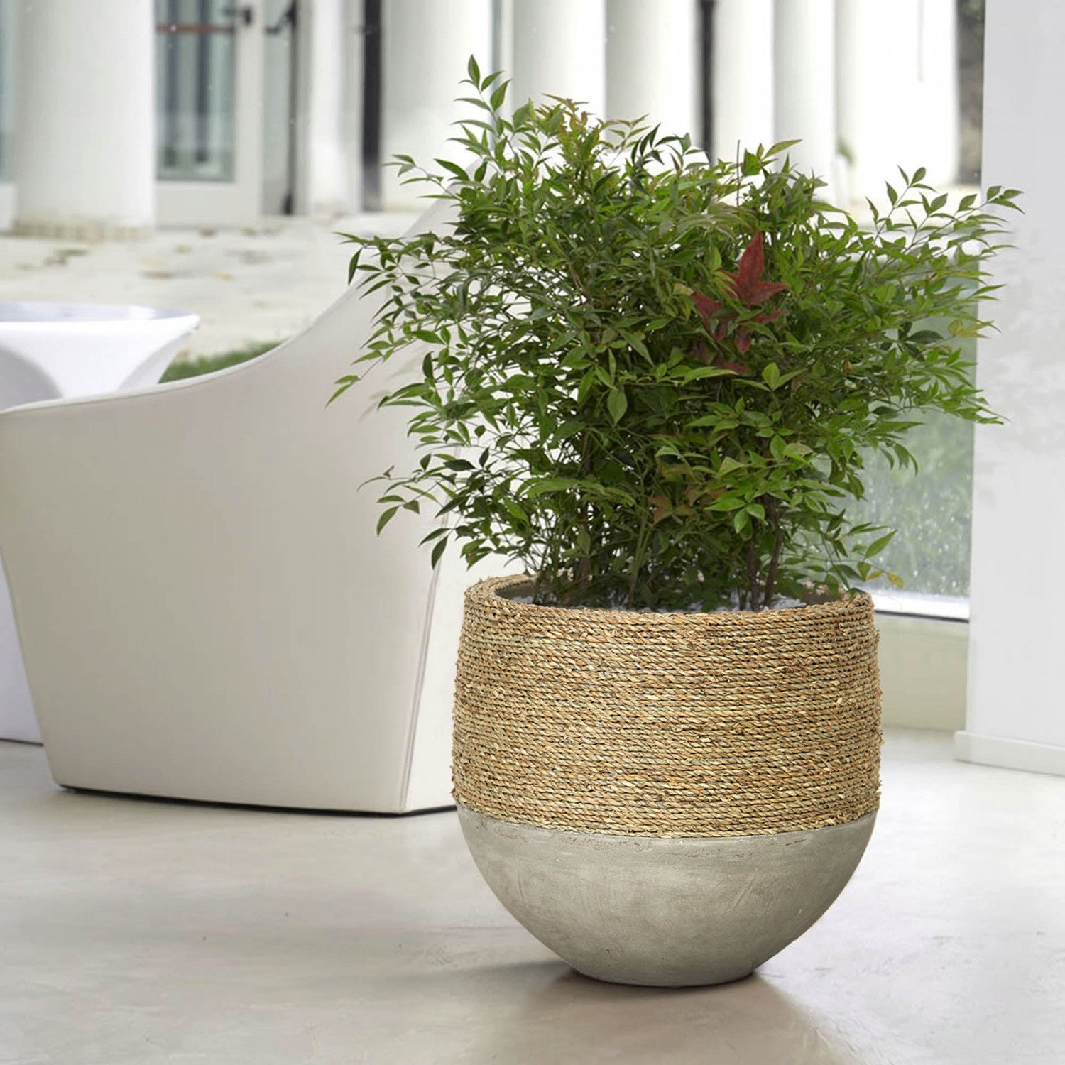 Wynmere Mixed Grass And Concrete Pot - Grey/Beige