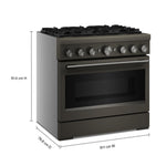 KitchenAid Black Ore Slide-In Range (5 cu. ft.) - KFDS936SBE