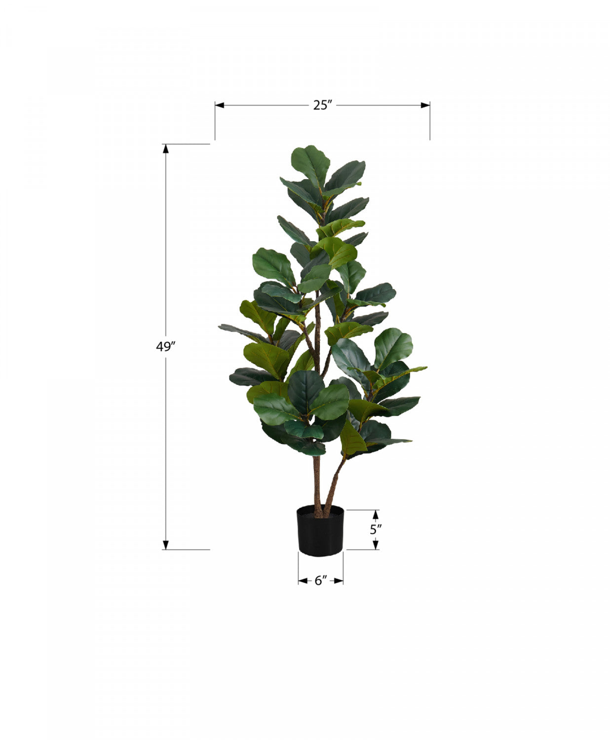 49" Fiddle Tree With 5" Black Pot - Green
