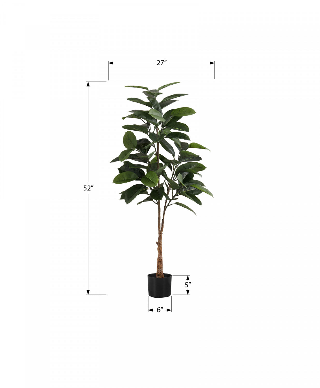 52" Rubber Tree With 5" Black Pot - Green
