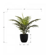 20" Palm Plant With 5" Black Pot - Green
