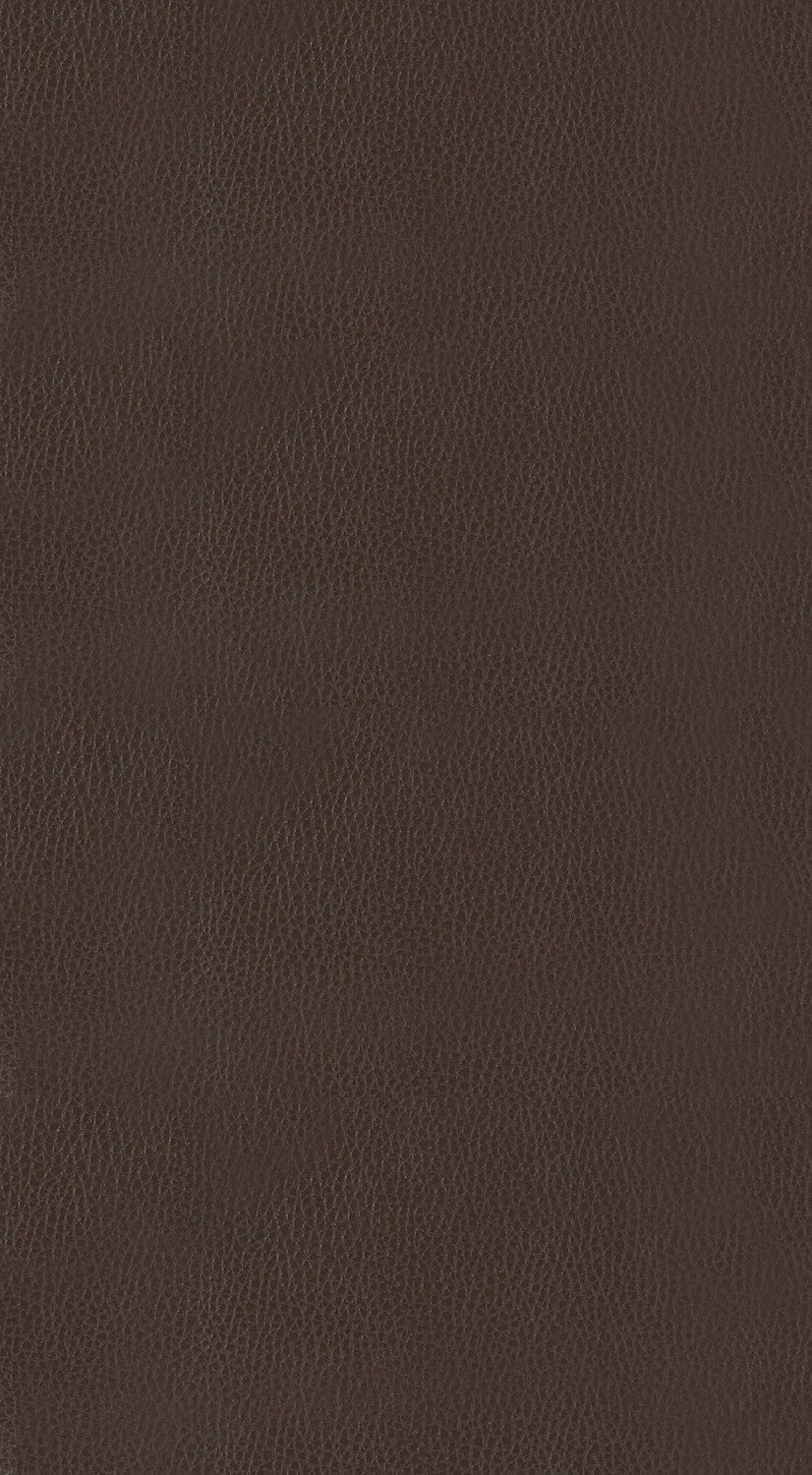 Westby Dining Stool - Brown - Set of Two