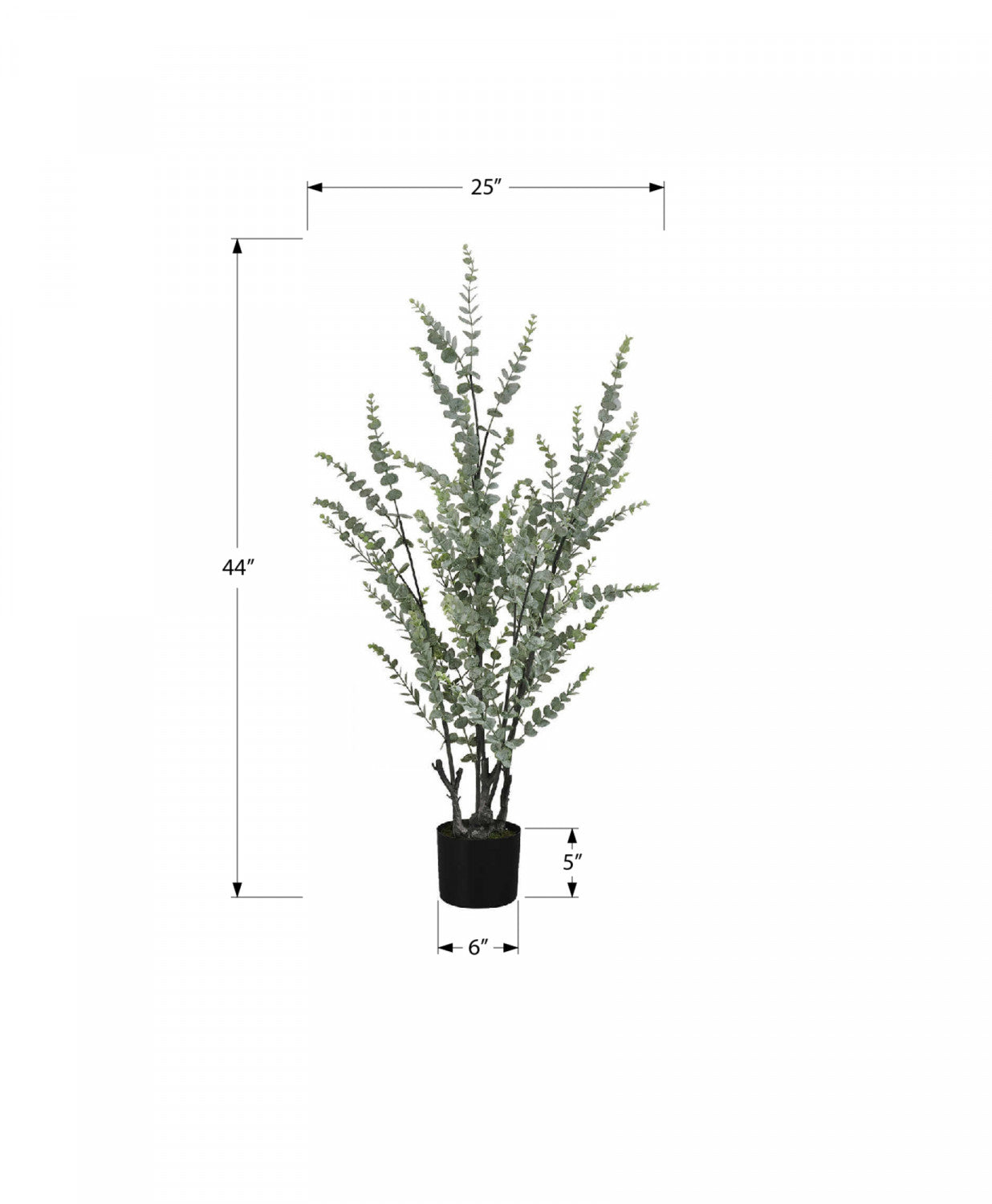 44" Eucalyptus Plant With 5" Black Pot - Green