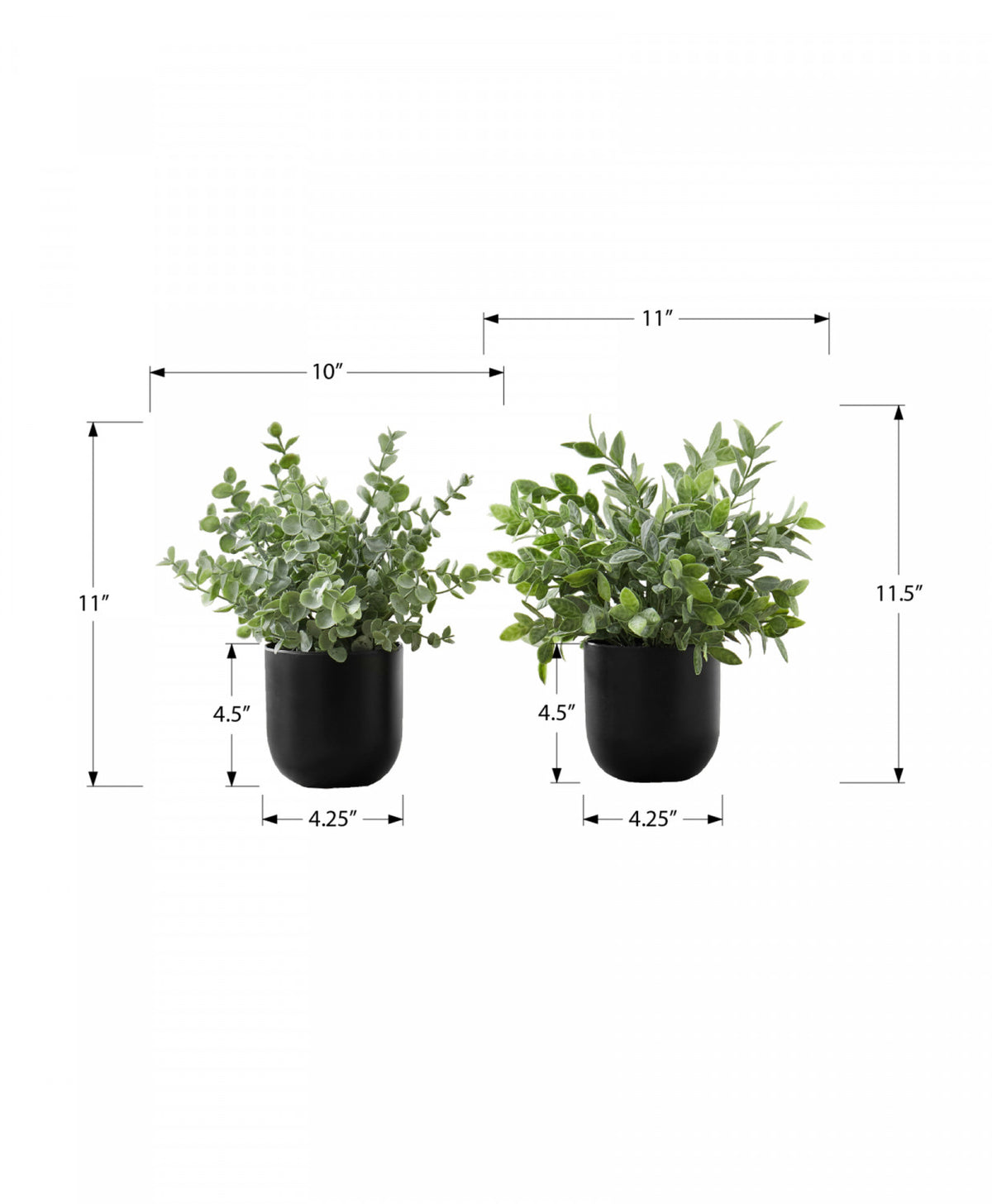 11" Eucalyptus Grass Plant With 5" Black Pot - Green - Set of Two