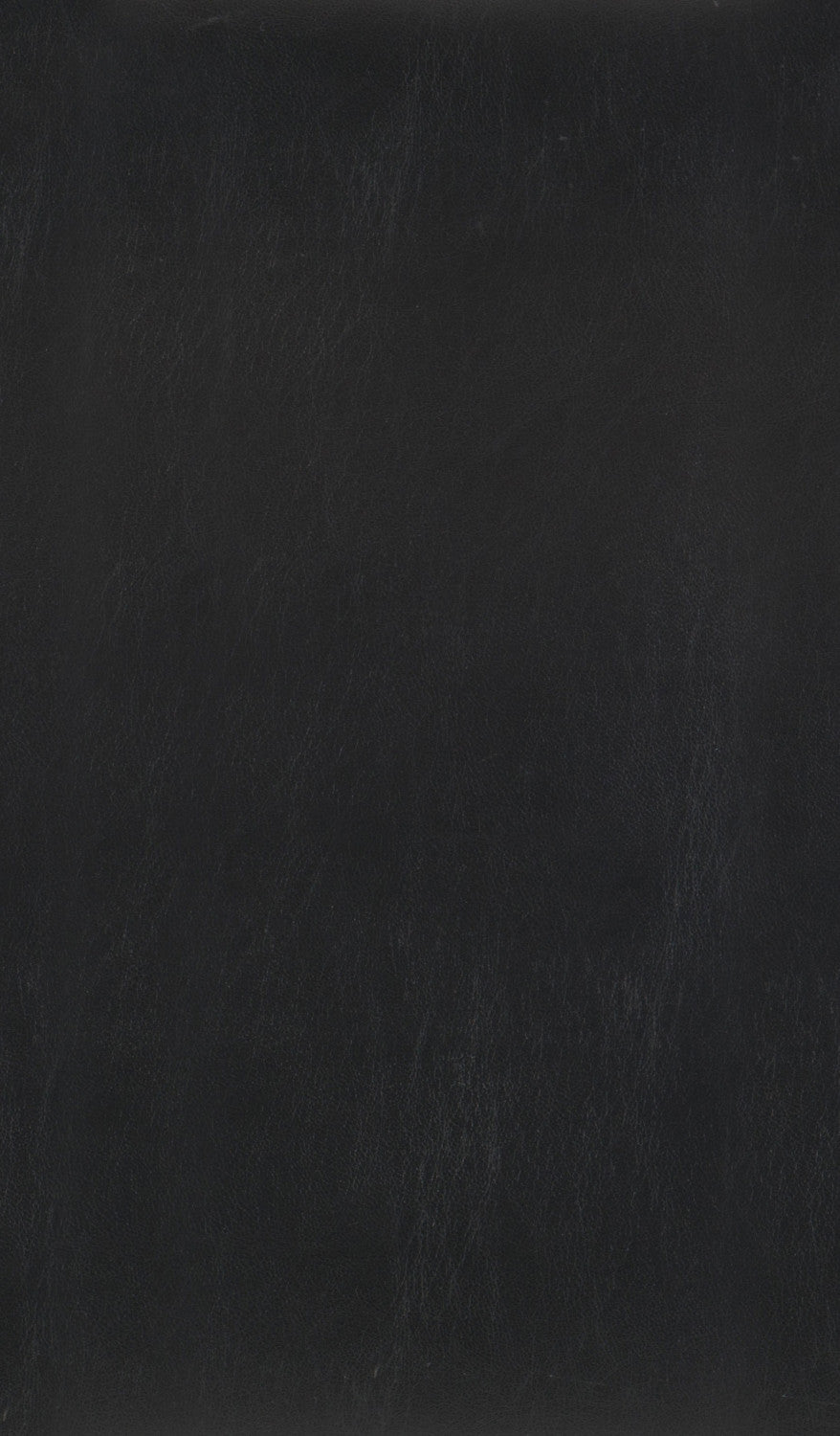 Westby Bar Stool - Black - Set of Two