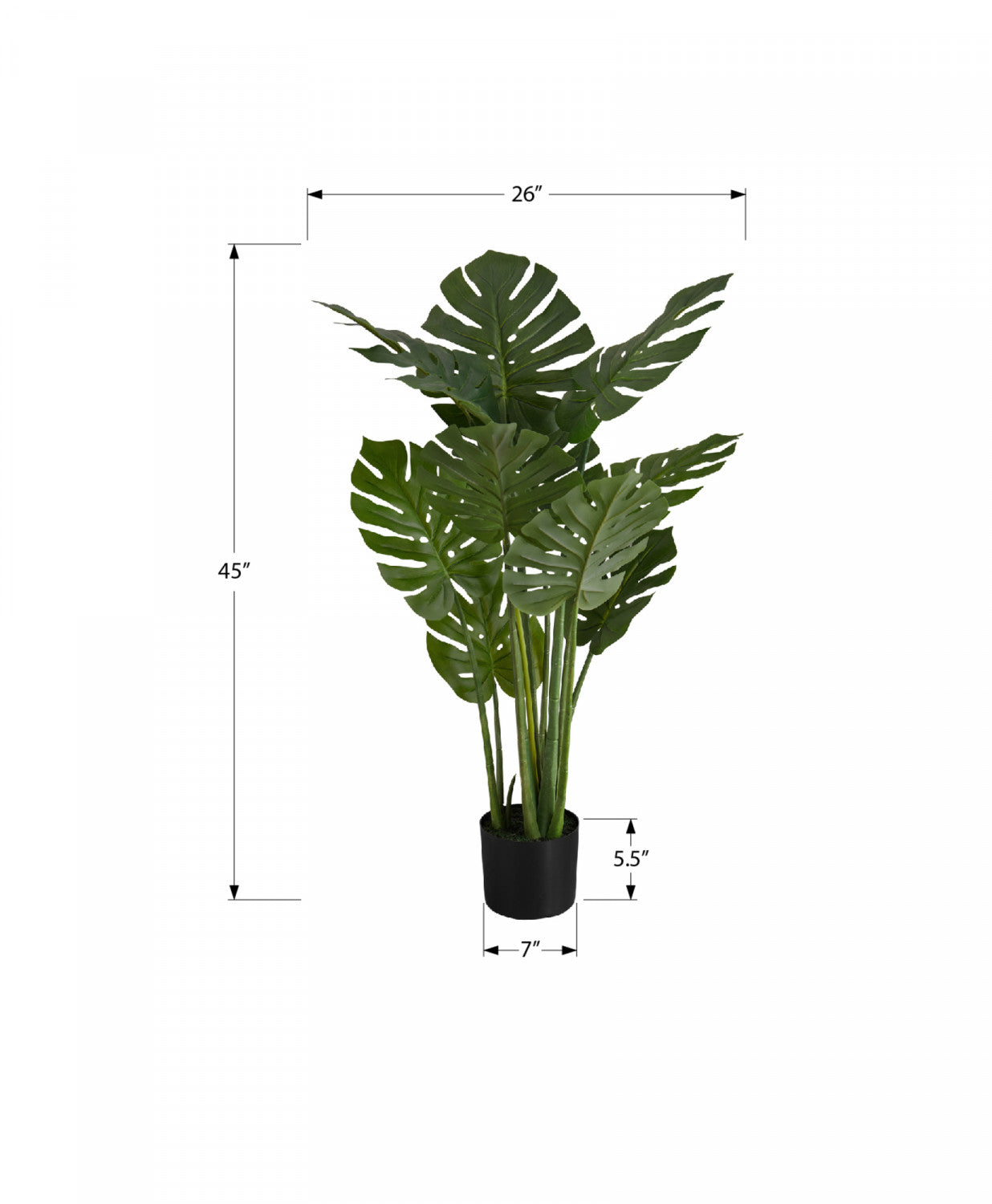 45" Monstera Plant With 6" Black Pot - Green