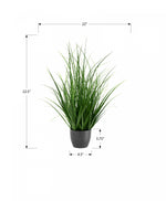 26" Grass Plant With 4" Black Pot - Green