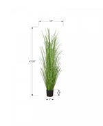 47" Grass Plant With 5" Black Pot - Green