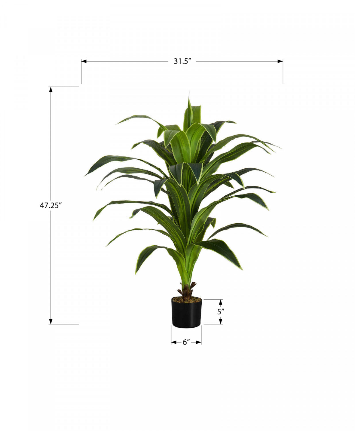 47" Dracaena Tree With 5" Black Pot - Green