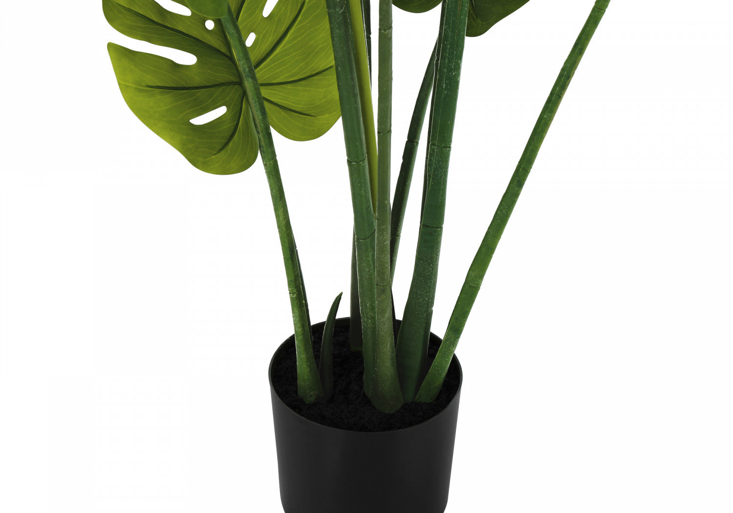 45" Monstera Plant With 6" Black Pot - Green