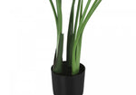 44" Bird Of Paradise Plant With 5" Black Pot - Green