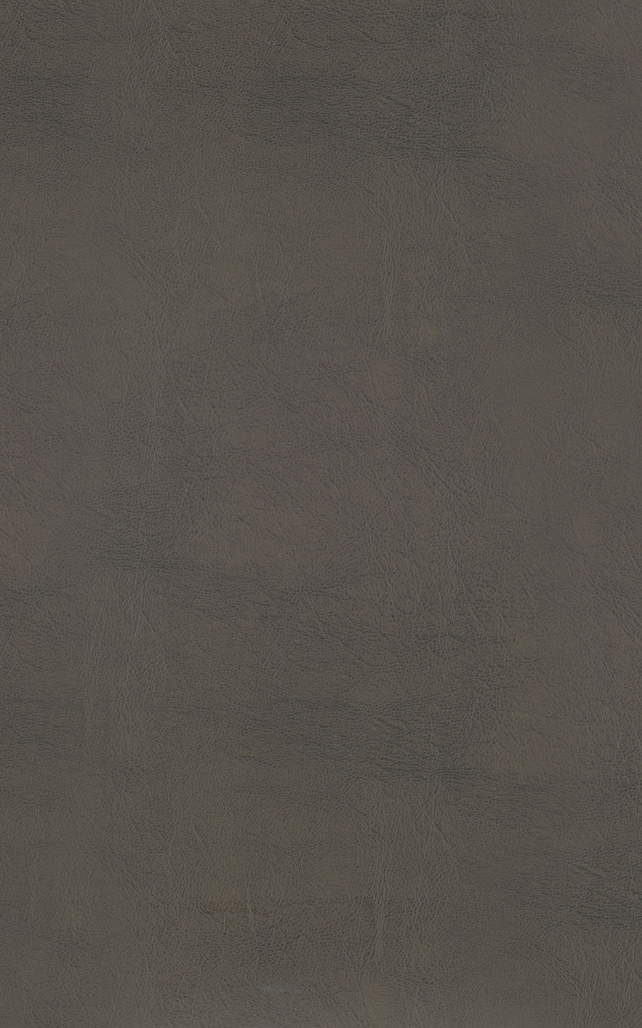 Ordway Counter Stool - Grey