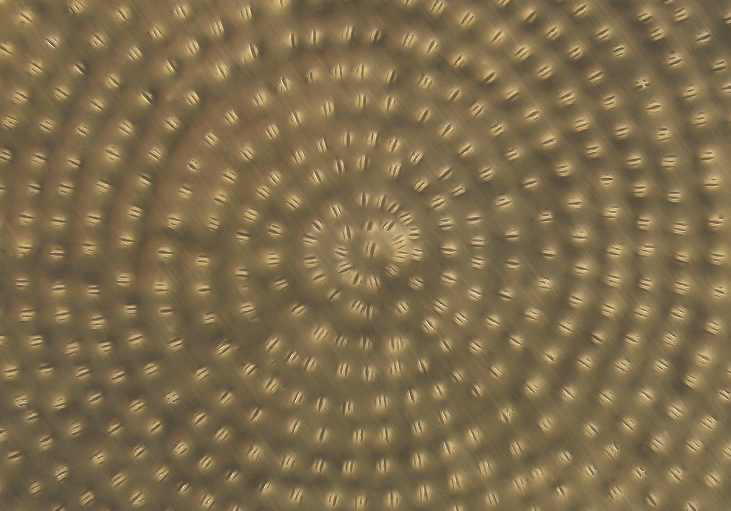 Lorik Side Table - Gold