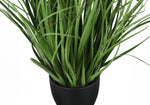 26" Grass Plant With 4" Black Pot - Green