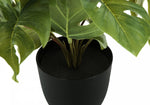 13" Monstera and Calathea Plants with 4" Black Pot - Green - Set of Two