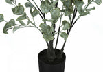 35" Eucalyptus Plant With 5" Black Pot - Green