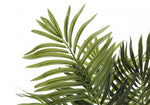 47" Areca Tree With 5" Black Pot - Green