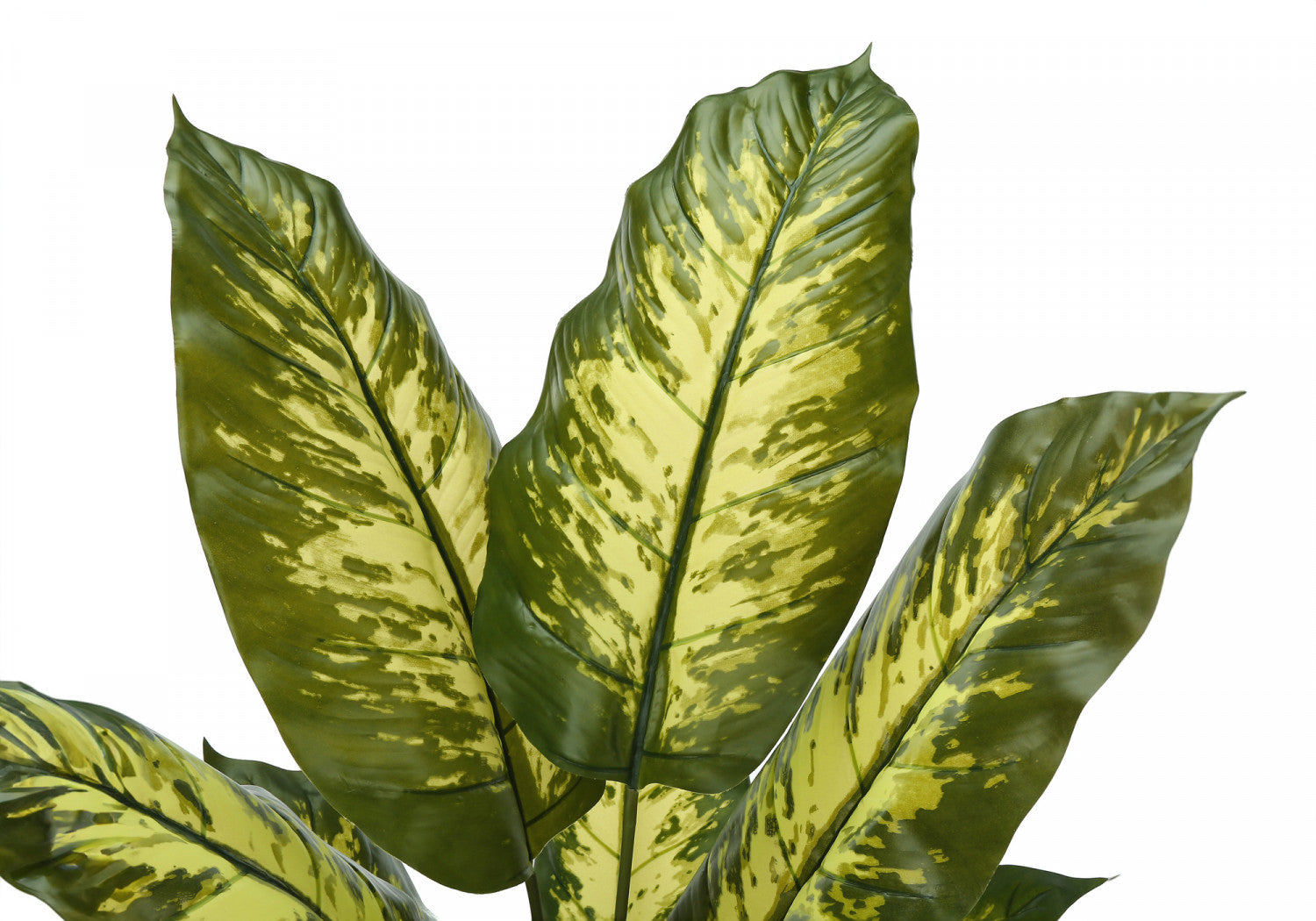 47" Evergreen Plant With 5" Black Pot - Green