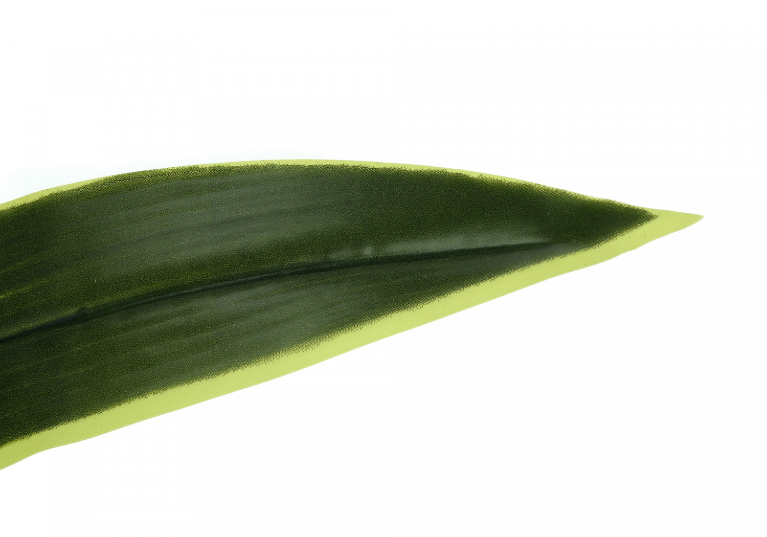 47" Dracaena Tree With 5" Black Pot - Green