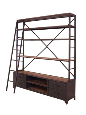 Desmond Bookshelf with Ladder