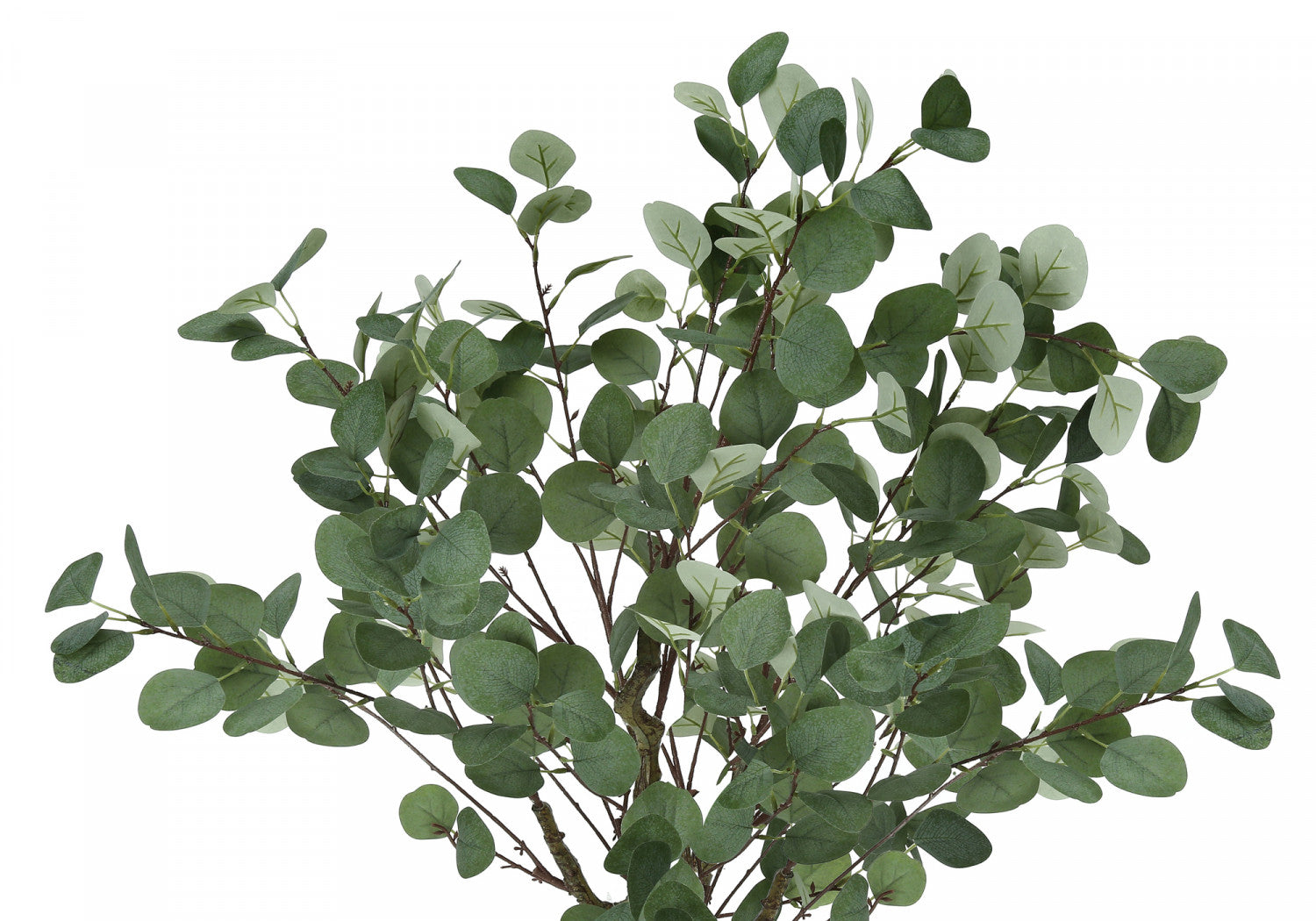 46" Eucalyptus Tree With 5" Black Pot - Green