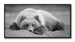 Bearly Awake I Wall Art - Grey - 61 X 31