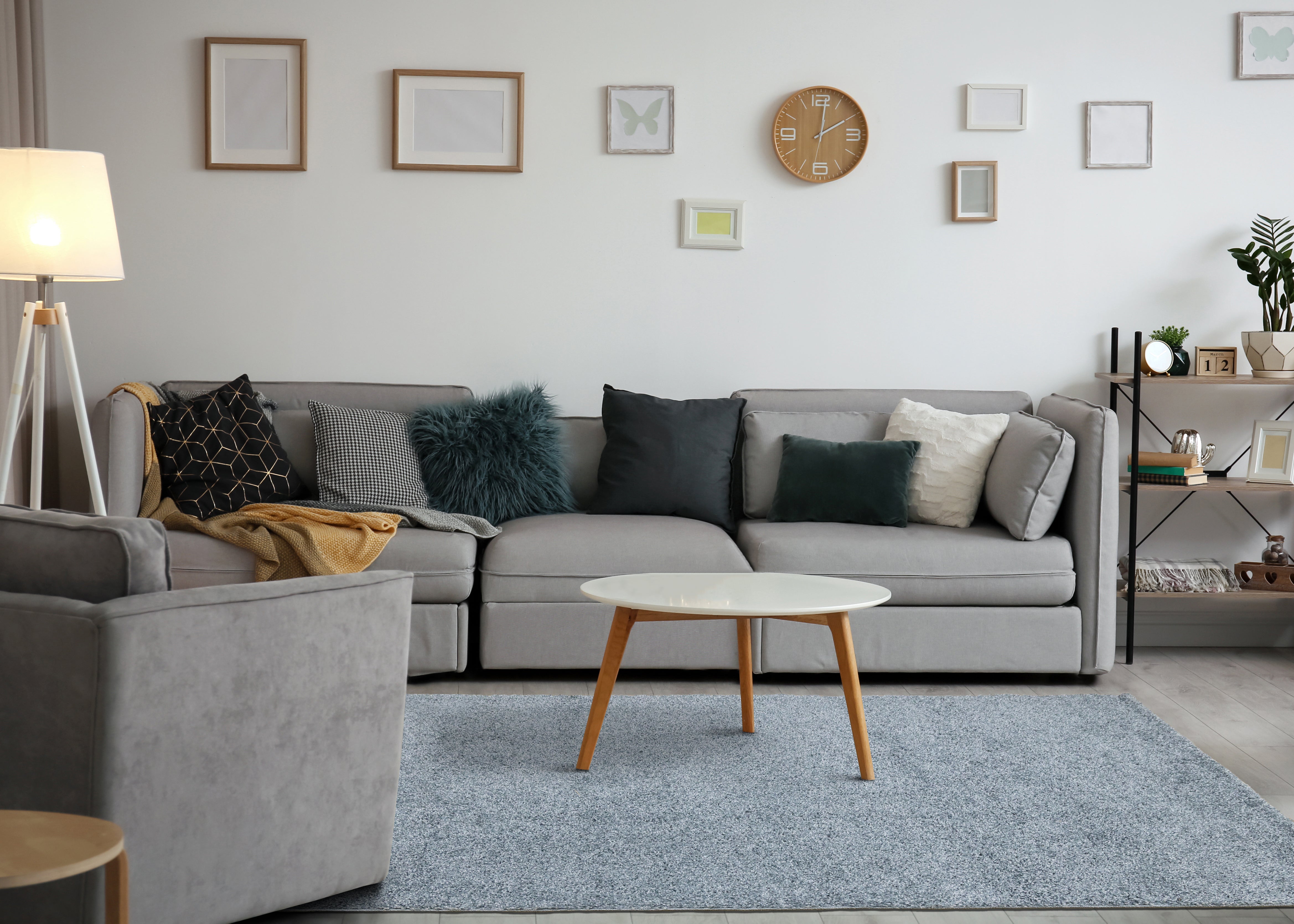 Brio 6'7" x 9'10" Shag Area Rug - Blue