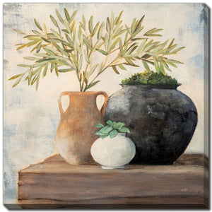 Plants in Pots II Wall Art - Light Brown/Green - 24 X 24