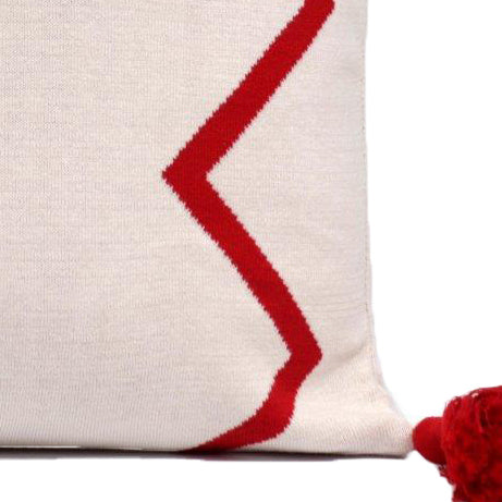 Aydin I 20" x 20" Decorative Cushion - Red/Natural