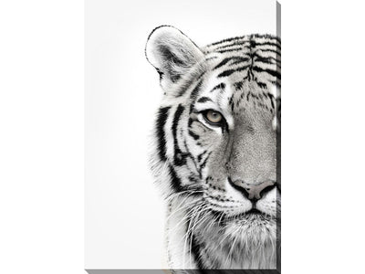 Colourless Tiger Canvas Wall Art - 30 X 45