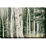 White Bark Green Leaves Canvas Wall Art - 30 X 45