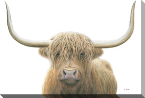 Perfect Highland Head Shot I Canvas Wall Art - 30 X 45